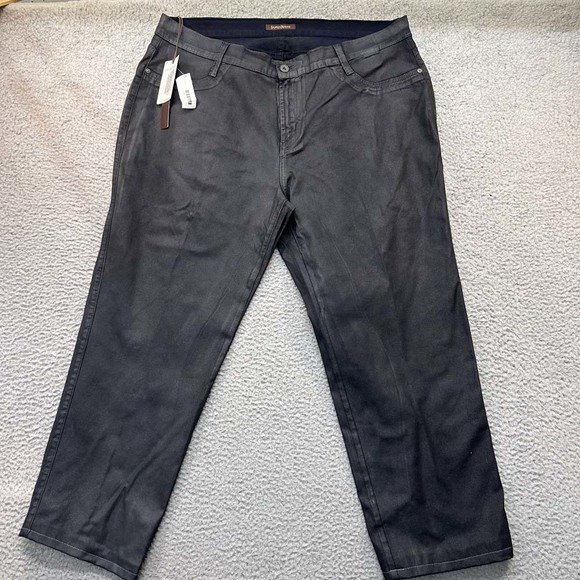 James Jeans Coated Chrome  Womens  Size 18 33inseam NWT - Picture 1 of 12